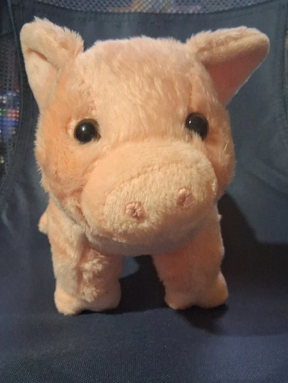 Plush Pink Pig Toy